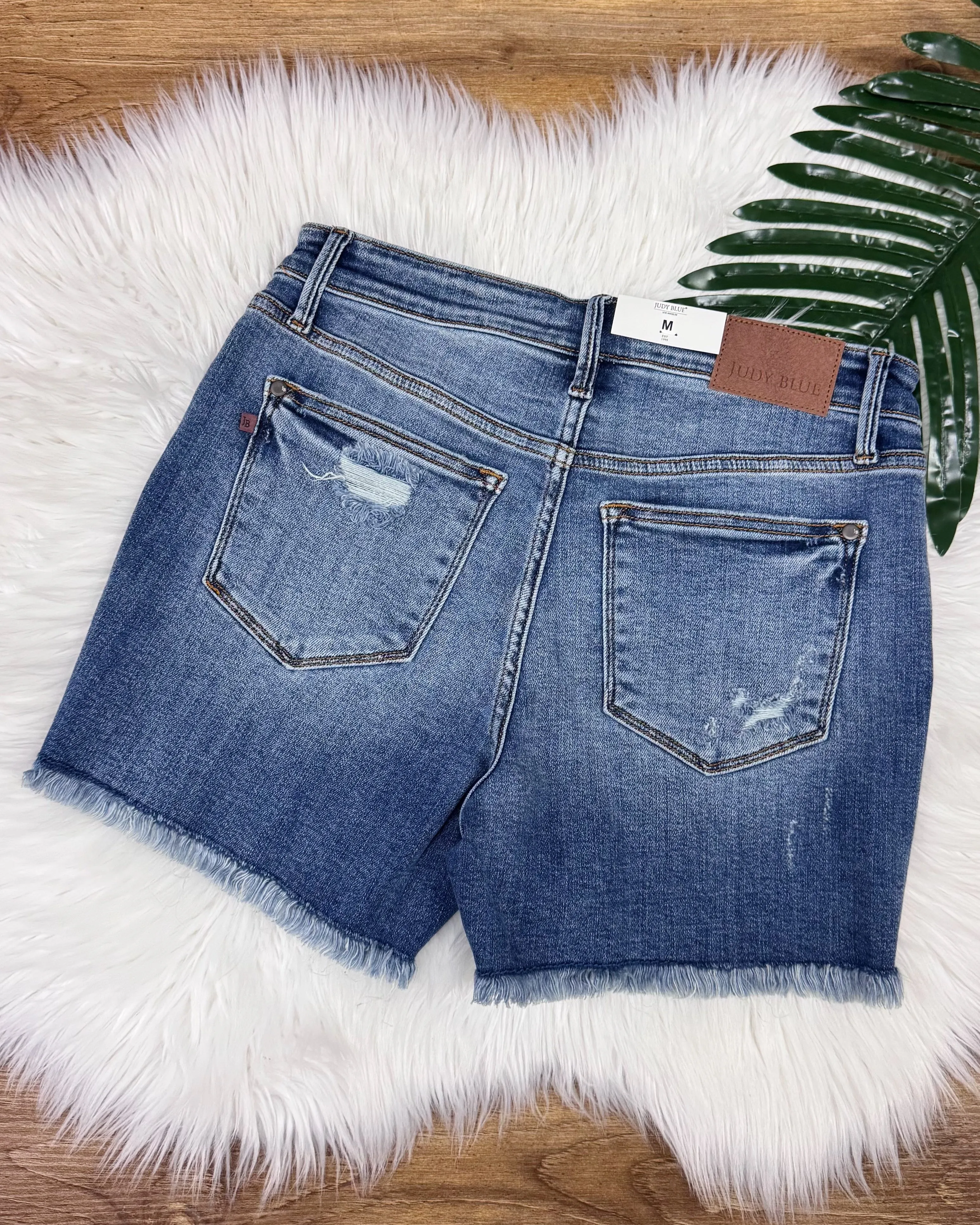 Judy Blue REG/CURVY Vintage Wash Shorts